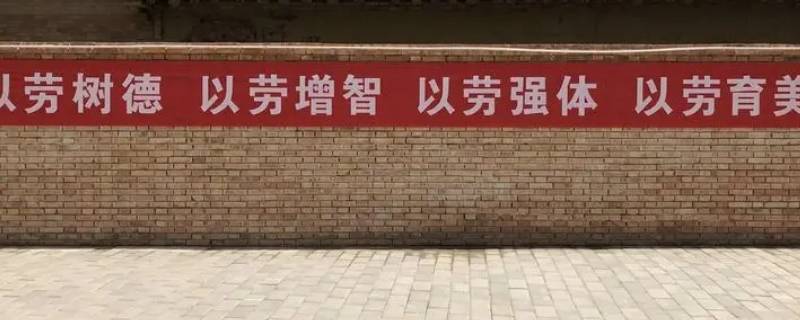 劳育指什么（劳动教育的提出）