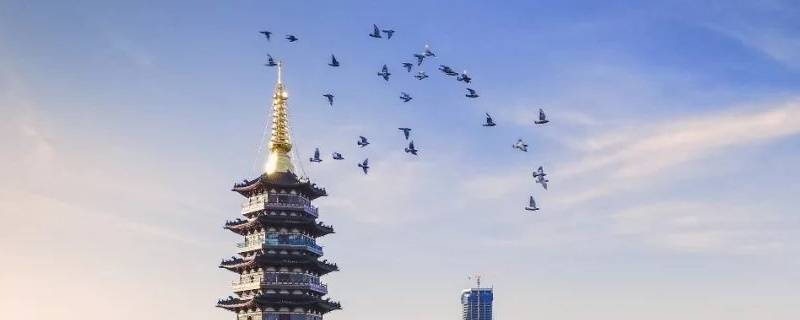 金华八大县市有哪些（金华八大县是哪八大）