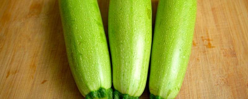 云南小瓜是西葫芦吗（云南小瓜是西葫芦吗?）