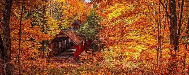 秋天的果实叫秋什么 秋天的果实叫秋实