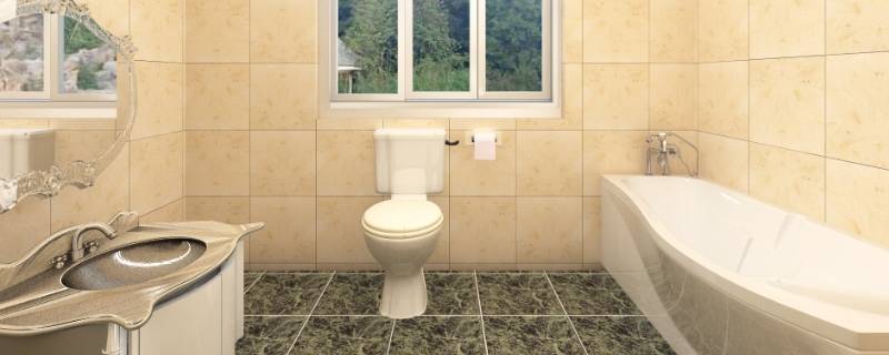 卫生间小黑虫怎么消灭小窍门 如何消杀卫生间小黑虫