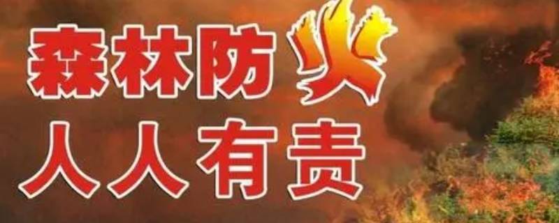 森林防火知识宣传内容(森林防火知识宣传内容100字)