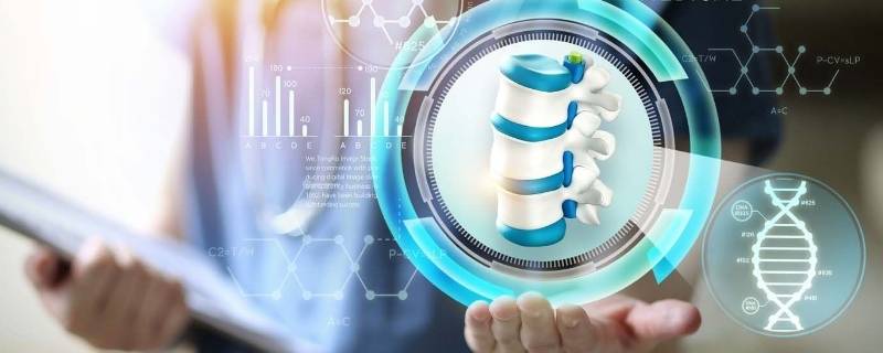 充当人类老师的生物有哪些（你还知道有哪些可以充当人类老师的生物）