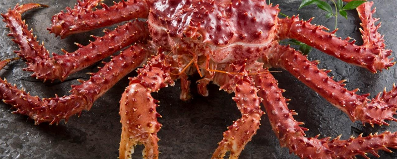 帝王蟹为什么不是螃蟹（帝王蟹为啥）