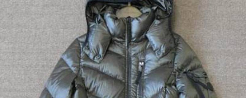 羽绒服为什么有鸭臭味 羽绒服为什么有鸭臭味正常吗