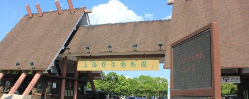 上海野生动物园可以开私家车进去吗(上海野生动物园自己的车可以开进去吗)