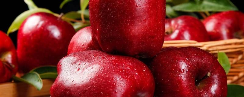 吃蛇果削皮还是不削皮（蛇瓜不削皮能吃吗）