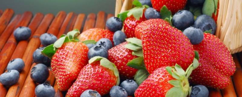 秋季有哪些水果 秋季有哪些水果是当季的