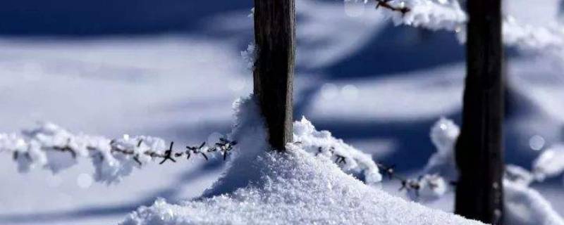 冬季七防的内容 冬季七防的内容和措施