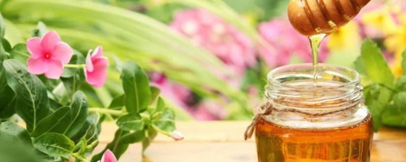 蜂蜜能带上火车吗（蜂蜜坐火车能带蜂蜜吗）