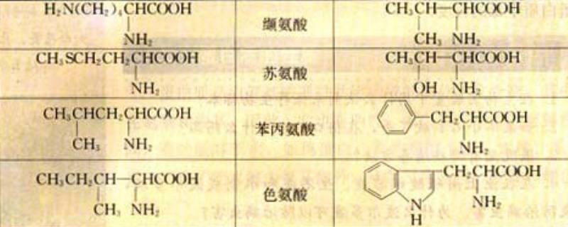 非必需氨基酸有几种（非必需氨基酸有几种口诀）