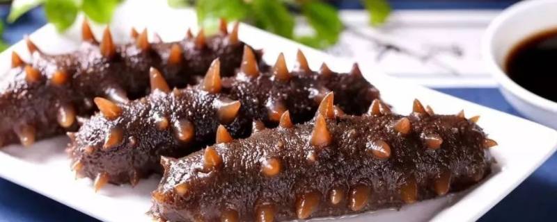 如何发泡干海参（请问怎样泡发干海参）