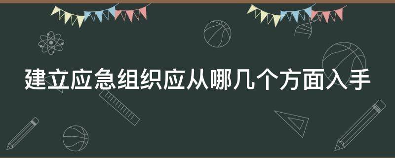 建立应急组织应从哪几个方面入手（建立应急组织应从什么入手）