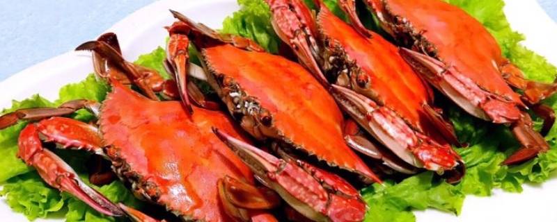 飞蟹蒸多久 清蒸飞蟹蒸多久