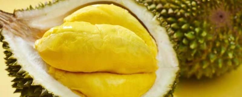 猫山王榴莲怎么保存 猫山王榴莲怎样保存