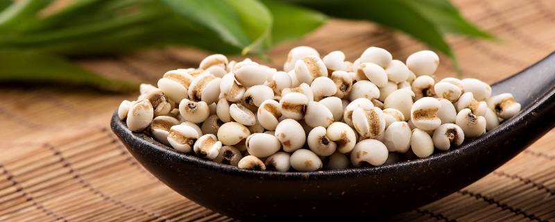 粗粮都有什么 粗粮都有什么粮食