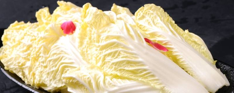 娃娃菜怎么洗（娃娃菜怎么洗 百度网盘）