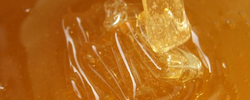 冬蜜为什么是固态白色的 蜜在冬天是固态