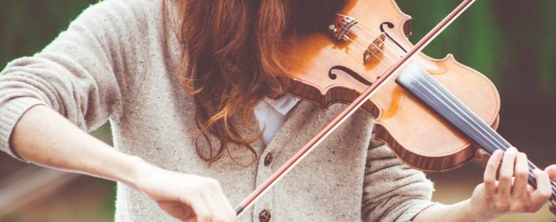 不能掌握五音的人就被称为什么（不能掌握五音的人就被称为什么填一个四字词语）