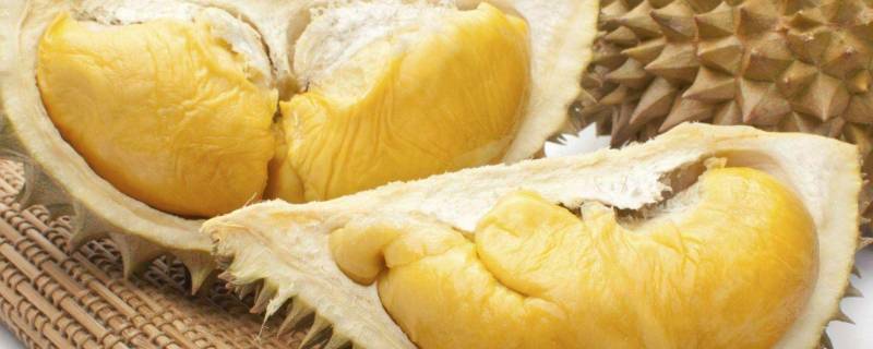 榴莲没熟已经扒出来了怎么办 已经扒出来的榴莲不熟怎么办