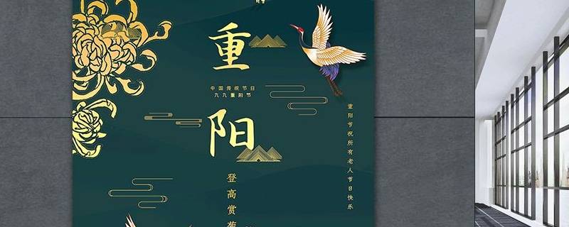 对重阳节的认识（对重阳节的认识20字）