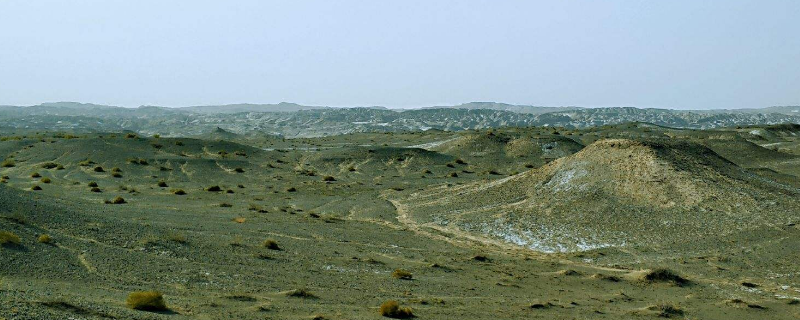 英吉沙县属于哪个地区（英吉沙县属于哪个地区哪个市）