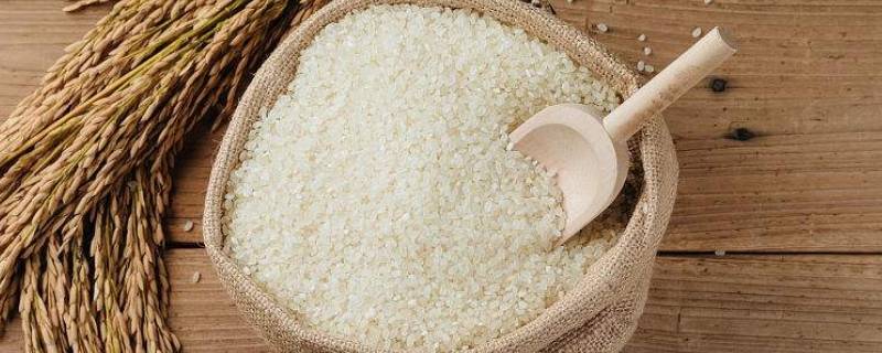 大米在零下20度冻着能行吗（大米零下18度冷冻储存好吗）