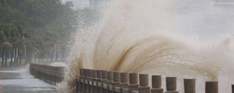 风暴潮和寒潮的区别 寒潮和热浪