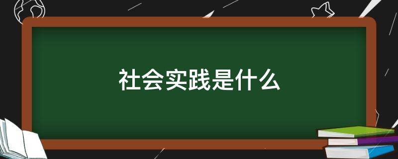 社会实践是什么 社会实践是什么短语类型