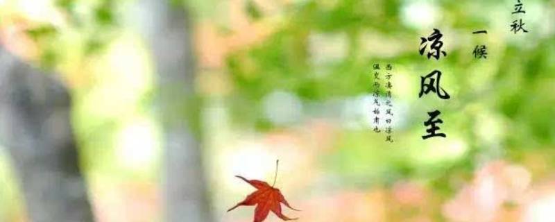 上午立秋和下午立秋有什么说法吗（午后立秋有什么说法）