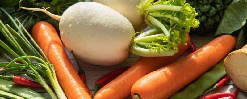 刚拔的萝卜怎么储存 地里拔的萝卜可以保存多少天