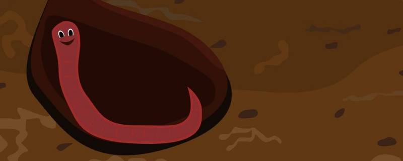 蚯蚓会叫吗（蚯蚓会叫吗百科知识）