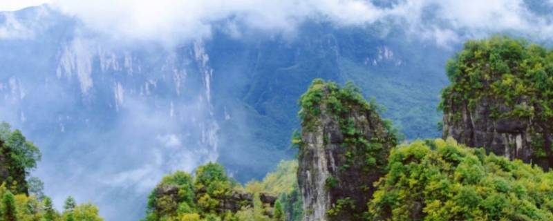 高硒地区是哪里（中国那里是高硒地区）