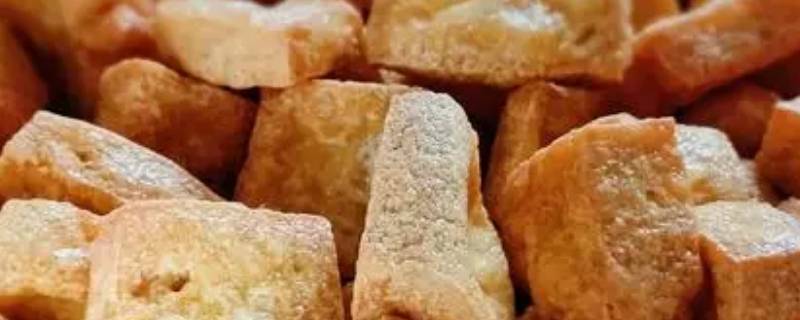 东北油滋啦学名怎么叫 油滋啦学名叫什么