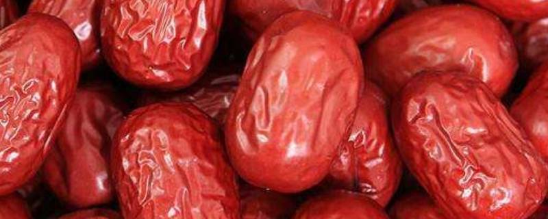红枣新鲜是什么样子 成熟的红枣像什么