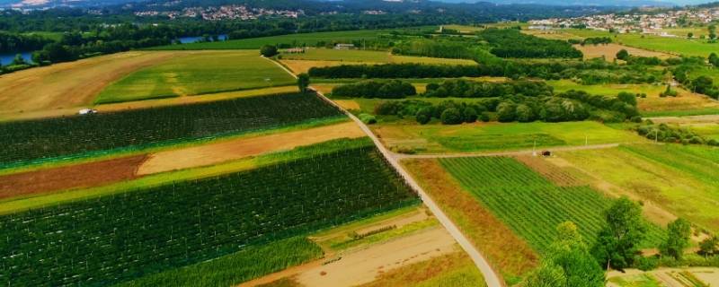 我国是什么重要农作物的起源地 我国是什么农作物的发源地