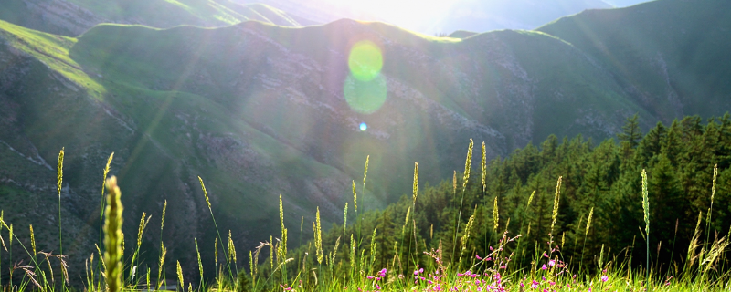 赤日炎炎是哪个季节（赤日炎炎的七月天是什么季节）