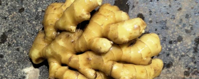 姜可以冷冻储藏吗（姜可以冷冻冰箱里保存吗）