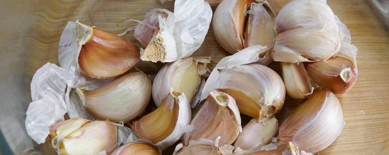 大蒜底部长出的白色须叫什么 大蒜底部长出的白色须能吃吗