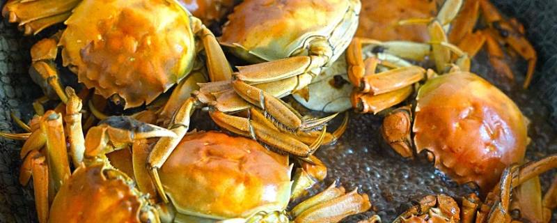 熟螃蟹能带上飞机吗 煮熟的螃蟹能不能带上飞机