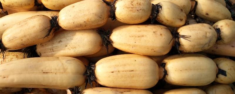 藕里的泥怎么清洗干净 怎样洗干净藕里面的泥