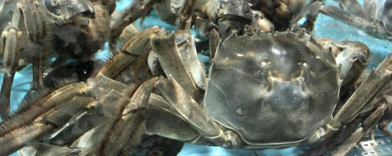 高压锅蒸螃蟹需要几分钟 高压锅蒸螃蟹需要多少分钟