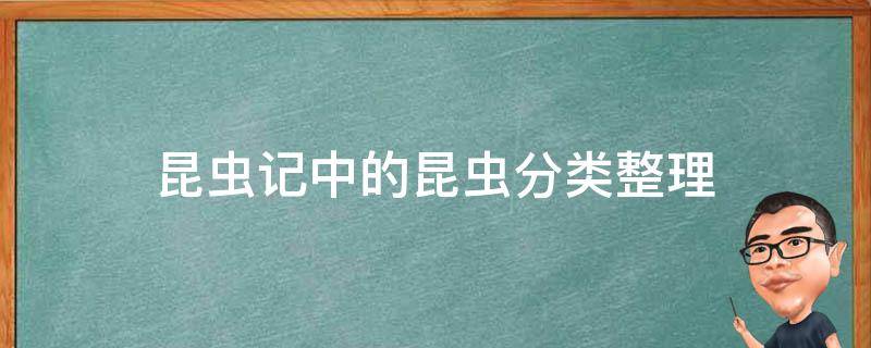 昆虫记中的昆虫分类整理 昆虫记昆虫类别整理