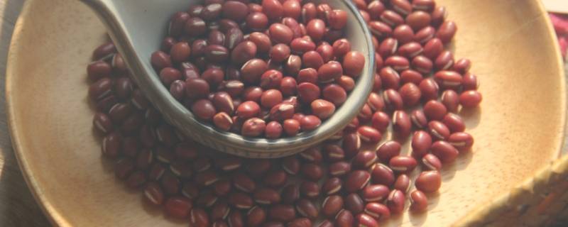 红豆泡水里几天会发芽 红豆放水里会发芽吗