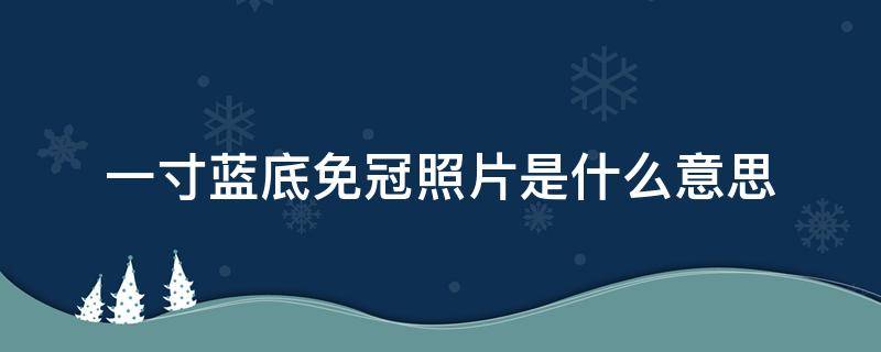 一寸蓝底免冠照片是什么意思 一寸蓝底免冠照片是啥