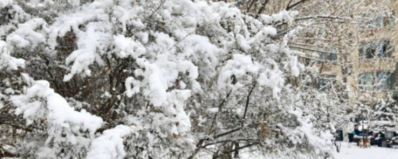 雪是什么状态（雪是什么状态的水）