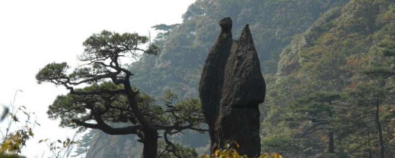 黄山有哪些石头 黄山有哪些石头的名字