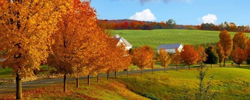 秋天代表着什么寓意（秋天蕴含着哪些寓意）