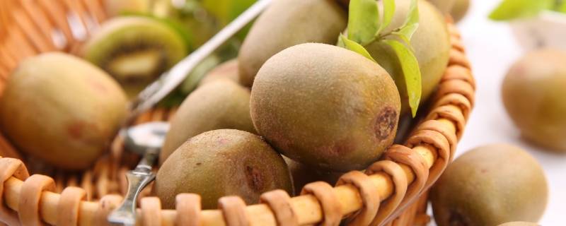 猕猴桃放多久可以变软 猕猴桃放久了变软了能吃吗