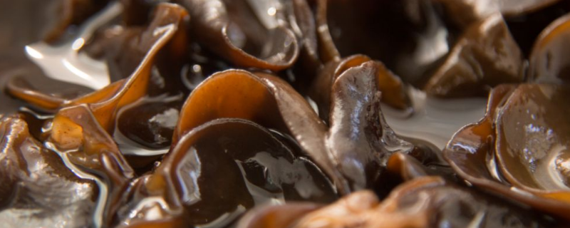 木耳需要多久能煮熟 木耳要煮多久可以熟